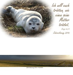 Jahreslosung_2016