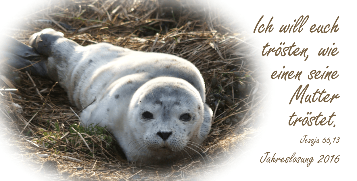 Jahreslosung_2016_1