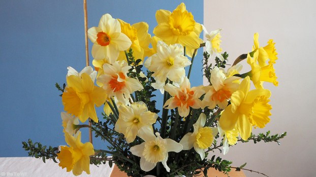 Altarschmuck Frühjahr 2016