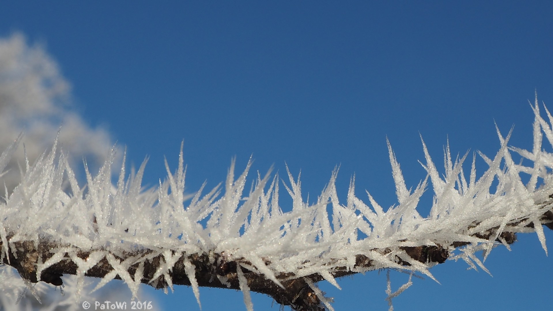 Raureif in Möllbergen